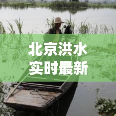 北京洪水实时最新动态，今日汛情全面解析