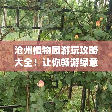 沧州植物园游玩攻略大全！让你畅游绿意盎然的世界！