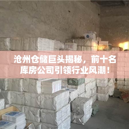 沧州仓储巨头揭秘，前十名库房公司引领行业风潮！