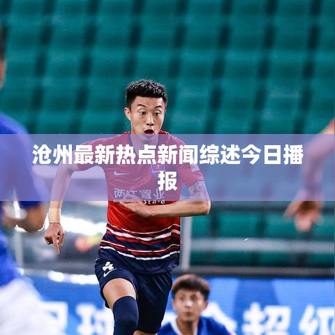贵险贱璧 第2页