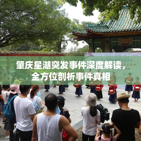 肇庆星湖突发事件深度解读，全方位剖析事件真相