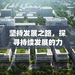 坚持发展之路，探寻持续发展的力量源泉