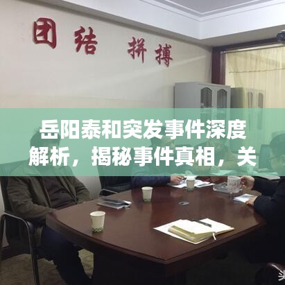岳阳泰和突发事件深度解析，揭秘事件真相，关注细节与进展