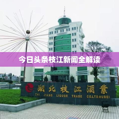今日头条枝江新闻全解读