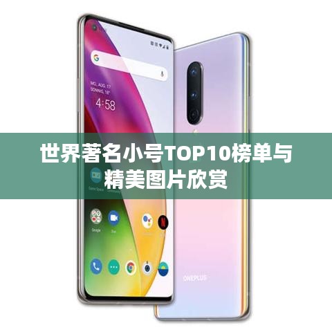 世界著名小号TOP10榜单与精美图片欣赏