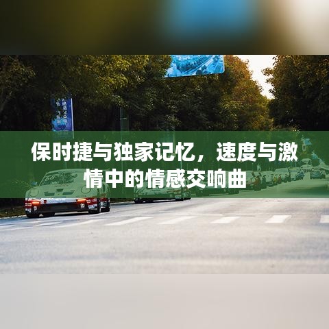 保时捷与独家记忆，速度与激情中的情感交响曲