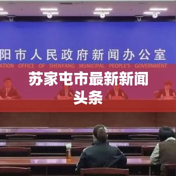 苏家屯市最新新闻头条
