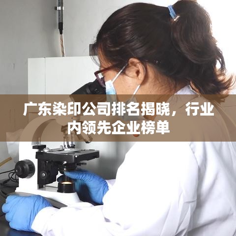 广东染印公司排名揭晓，行业内领先企业榜单