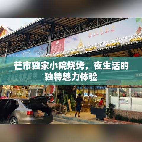 芒市独家小院烧烤，夜生活的独特魅力体验