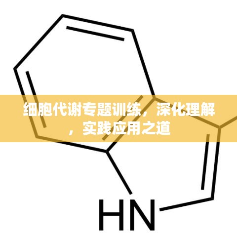 细胞代谢专题训练，深化理解，实践应用之道