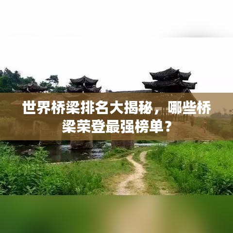 世界桥梁排名大揭秘，哪些桥梁荣登最强榜单？