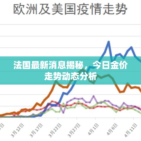 法国最新消息揭秘，今日金价走势动态分析