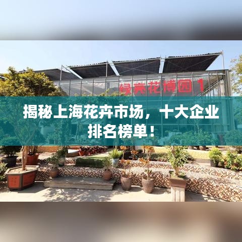 揭秘上海花卉市场，十大企业排名榜单！