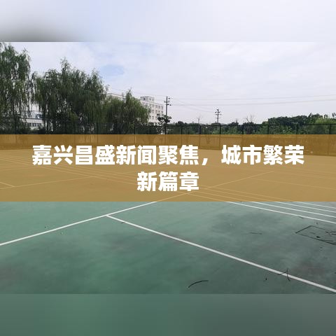 嘉兴昌盛新闻聚焦，城市繁荣新篇章