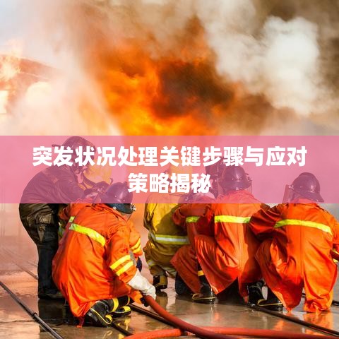 突发状况处理关键步骤与应对策略揭秘