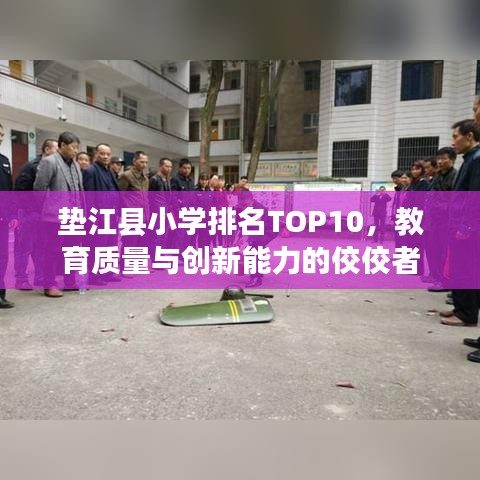 垫江县小学排名TOP10，教育质量与创新能力的佼佼者