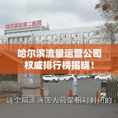 哈尔滨流量运营公司权威排行榜揭晓！