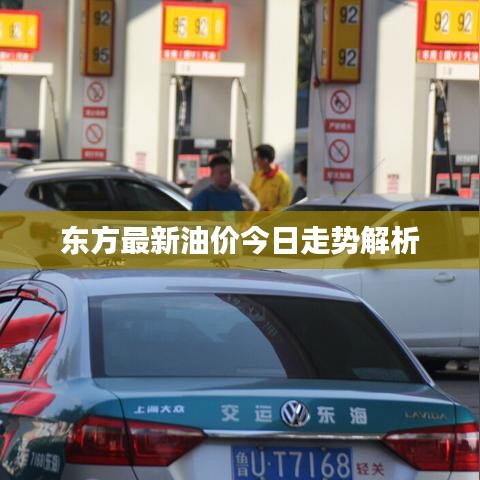 东方最新油价今日走势解析