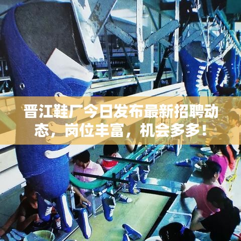 晋江鞋厂今日发布最新招聘动态，岗位丰富，机会多多！