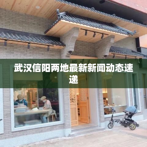 武汉信阳两地最新新闻动态速递