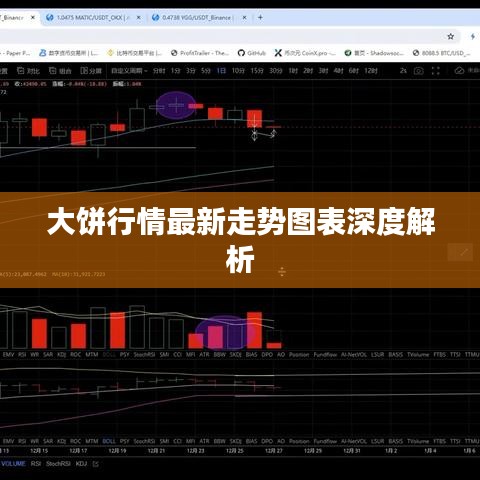 大饼行情最新走势图表深度解析