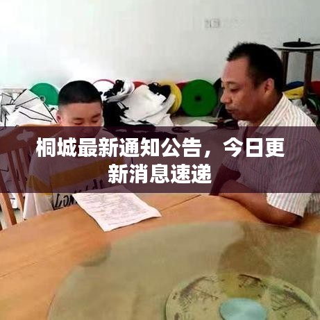 桐城最新通知公告，今日更新消息速递