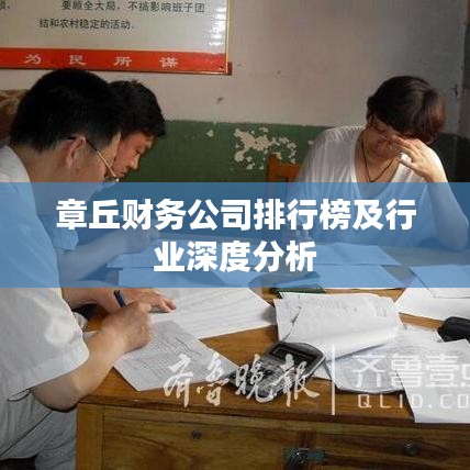 章丘财务公司排行榜及行业深度分析