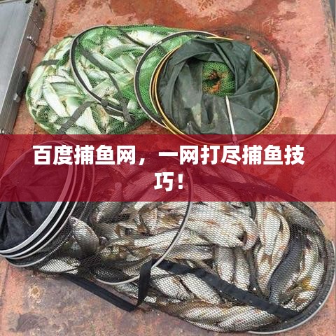 百度捕鱼网，一网打尽捕鱼技巧！