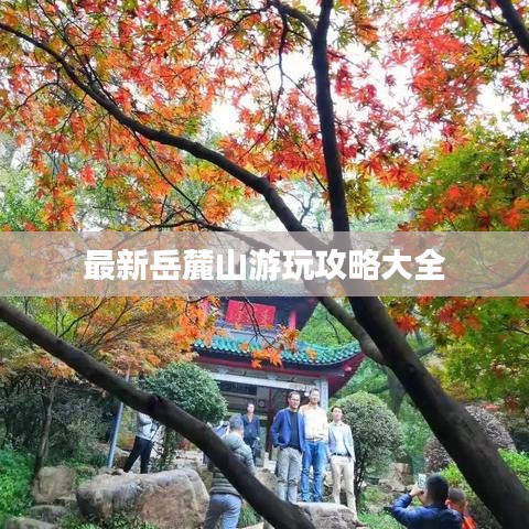 最新岳麓山游玩攻略大全