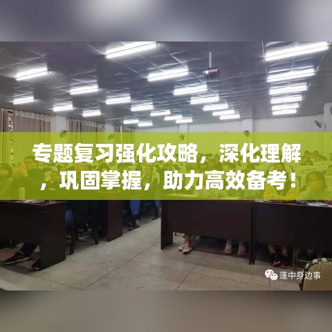 专题复习强化攻略，深化理解，巩固掌握，助力高效备考！