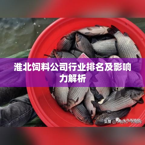 淮北饲料公司行业排名及影响力解析