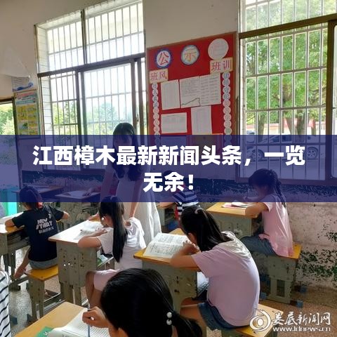 江西樟木最新新闻头条，一览无余！