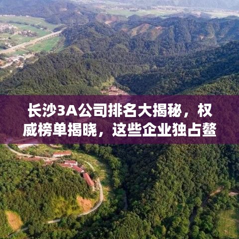 长沙3A公司排名大揭秘，权威榜单揭晓，这些企业独占鳌头！