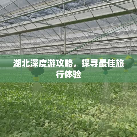湖北深度游攻略，探寻最佳旅行体验
