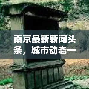 南京最新新闻头条，城市动态一网打尽