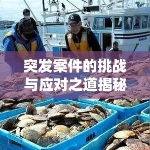 突发案件的挑战与应对之道揭秘，答案全解析