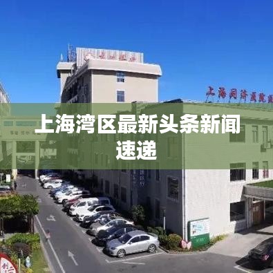 上海湾区最新头条新闻速递