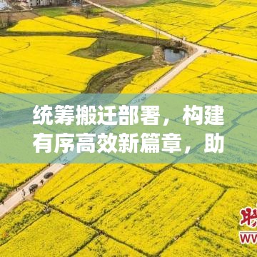 统筹搬迁部署，构建有序高效新篇章，助力顺利搬迁！