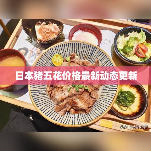 日本猪五花价格最新动态更新