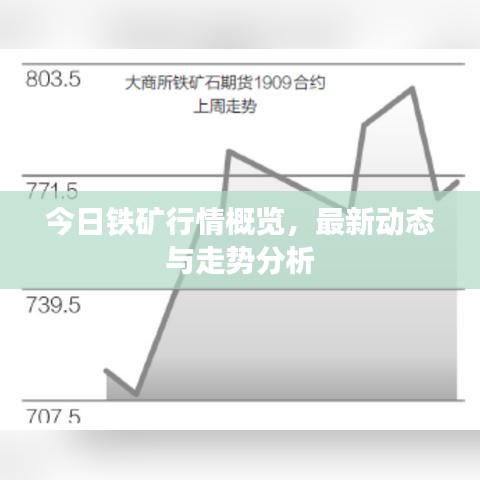 今日铁矿行情概览，最新动态与走势分析