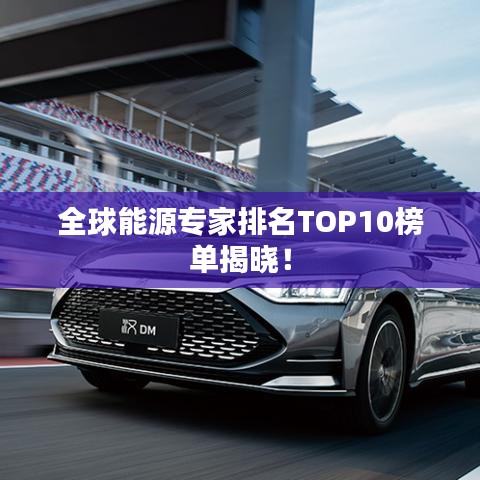全球能源专家排名TOP10榜单揭晓！
