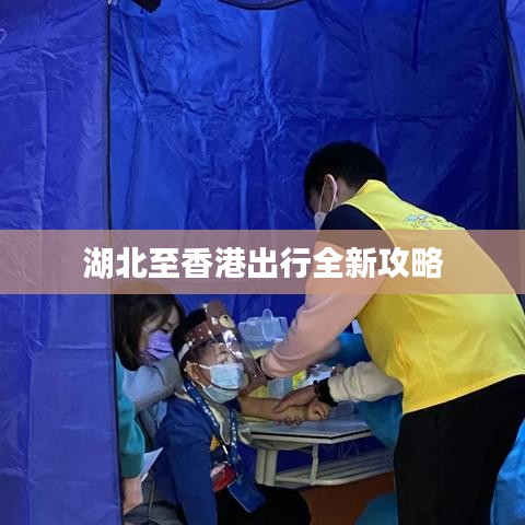 湖北至香港出行全新攻略