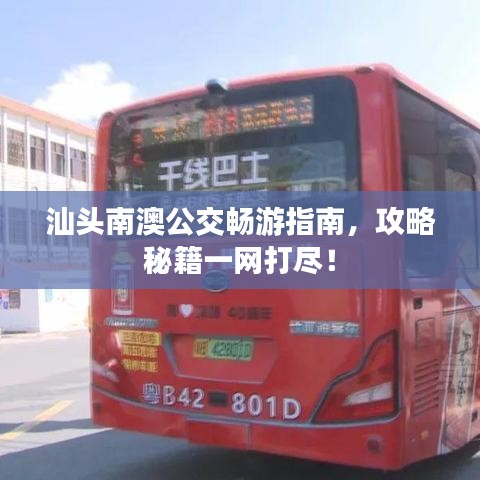 汕头南澳公交畅游指南，攻略秘籍一网打尽！