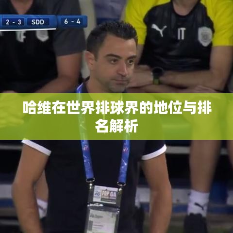 哈维在世界排球界的地位与排名解析