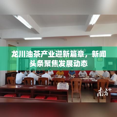 龙川油茶产业迎新篇章，新闻头条聚焦发展动态