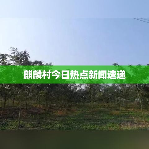 麒麟村今日热点新闻速递