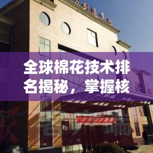 全球棉花技术排名揭秘，掌握核心力量，引领世界产业影响力！