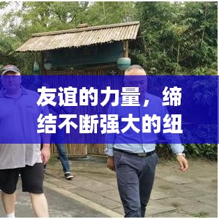 友谊的力量，缔结不断强大的纽带