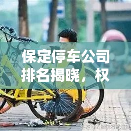 保定停车公司排名揭晓，权威榜单，引领行业新风向！