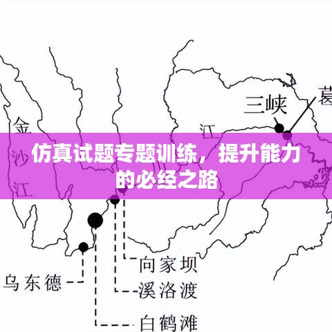 仿真试题专题训练，提升能力的必经之路